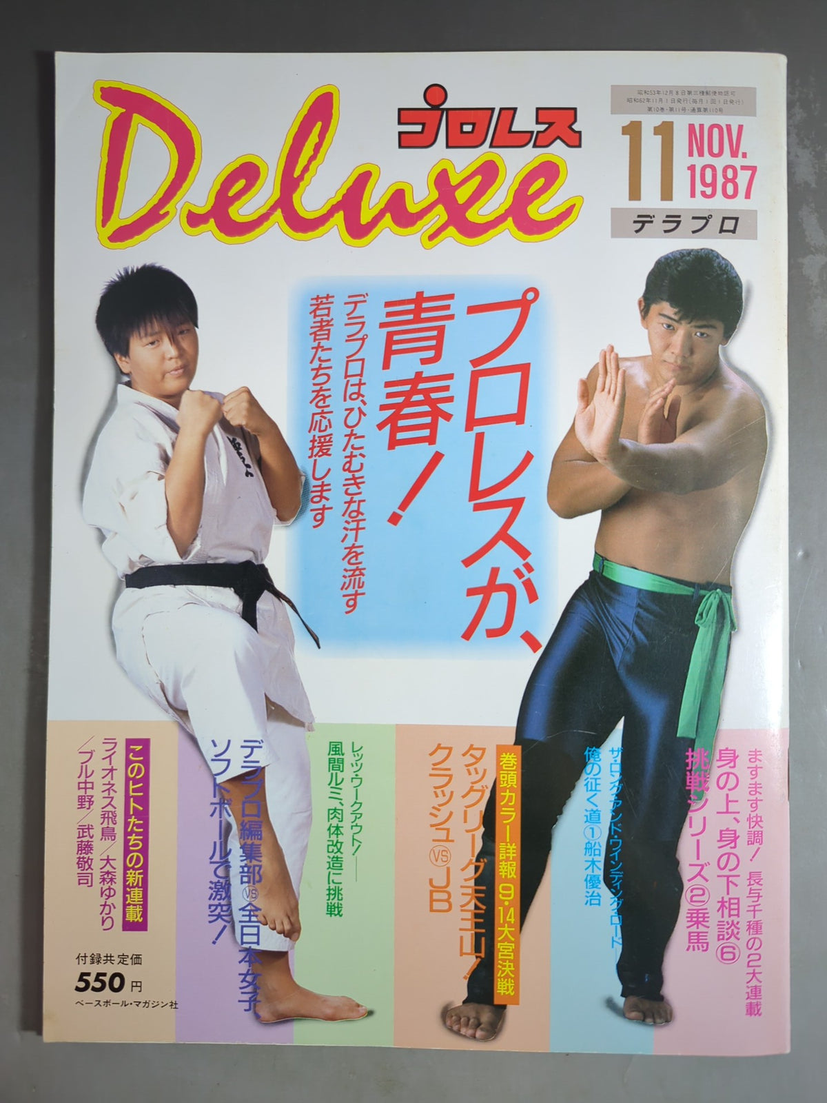 Deluxe Pro Wrestling November 1987