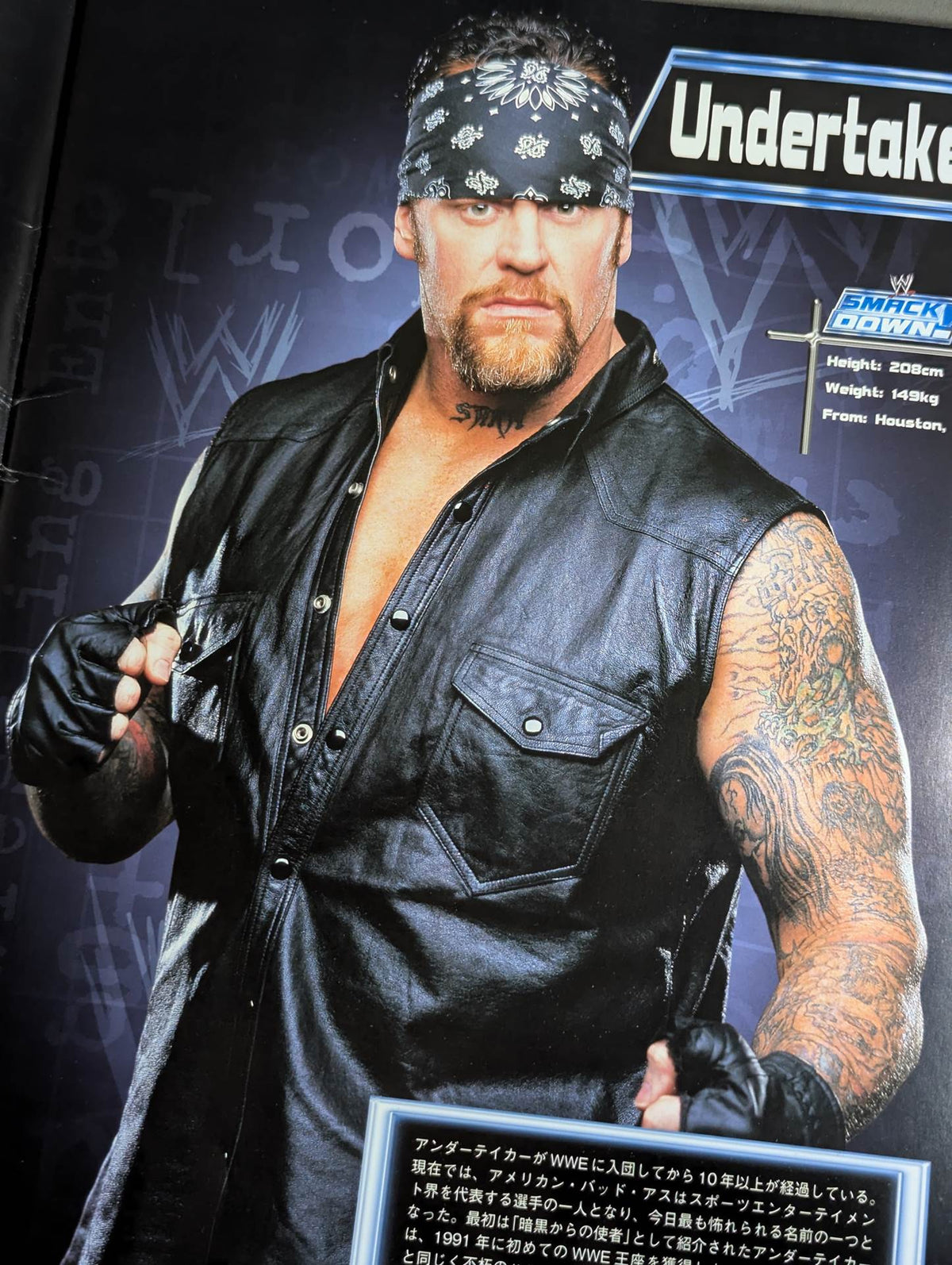 WWE SMACKDOWN! UNLEASHED IN THE EAST