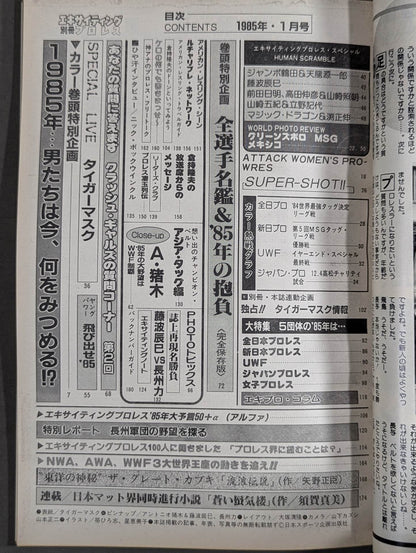 別冊エキサイティングプロレス 1985年1月号