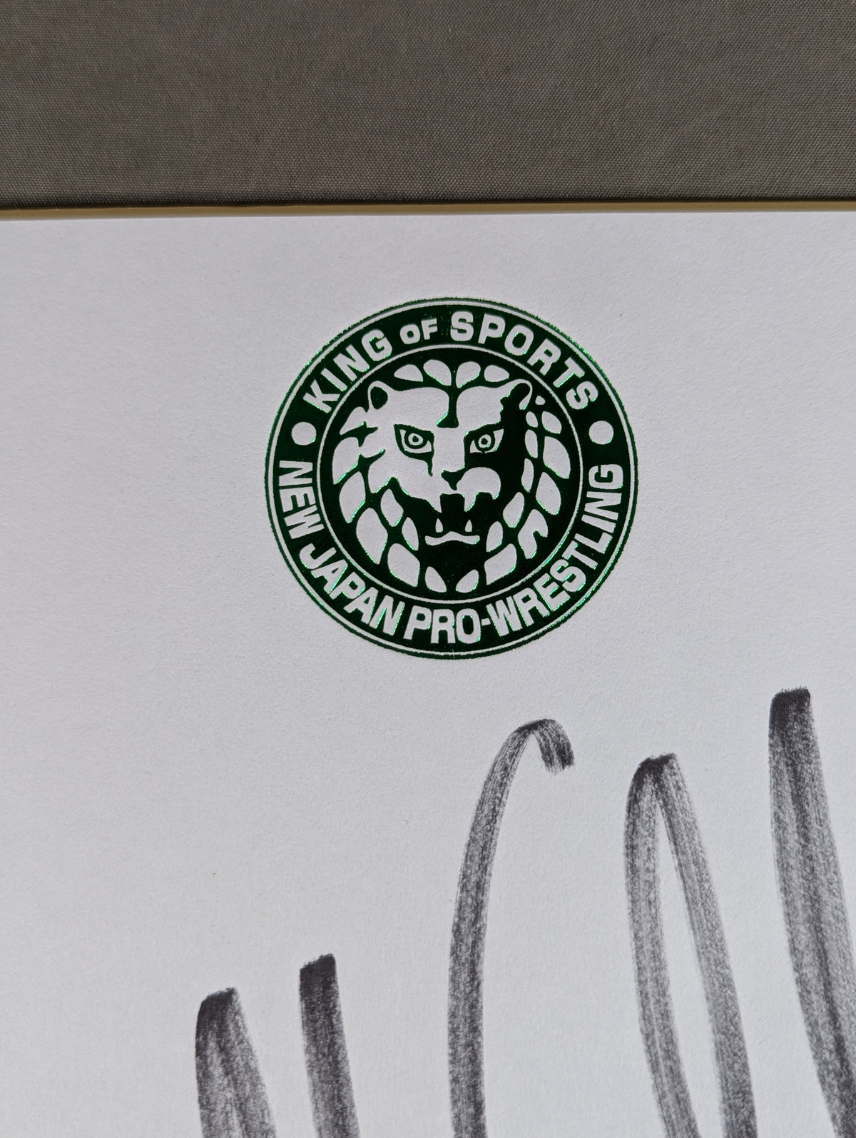 Jeff Cobb (Lion Mark Shikishi ( Autograph board ) )