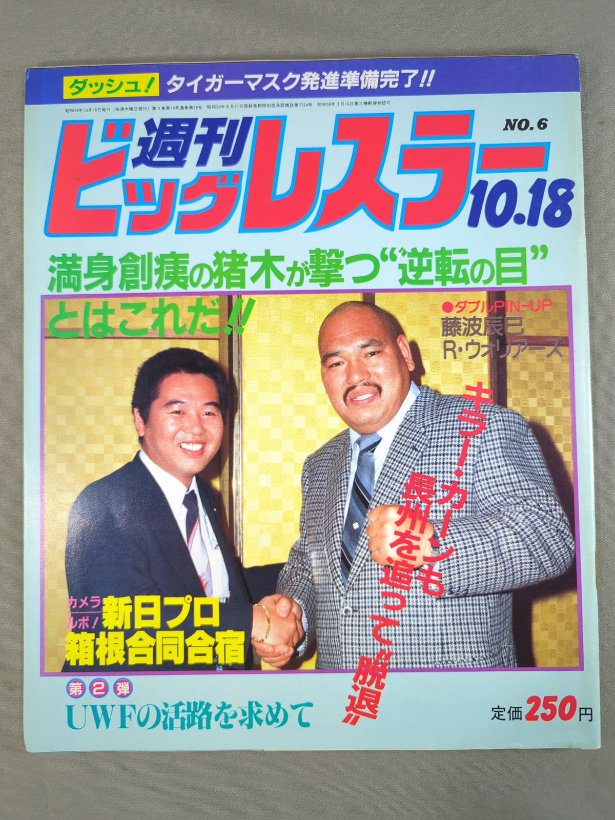 Weekly Big Wrestler 6