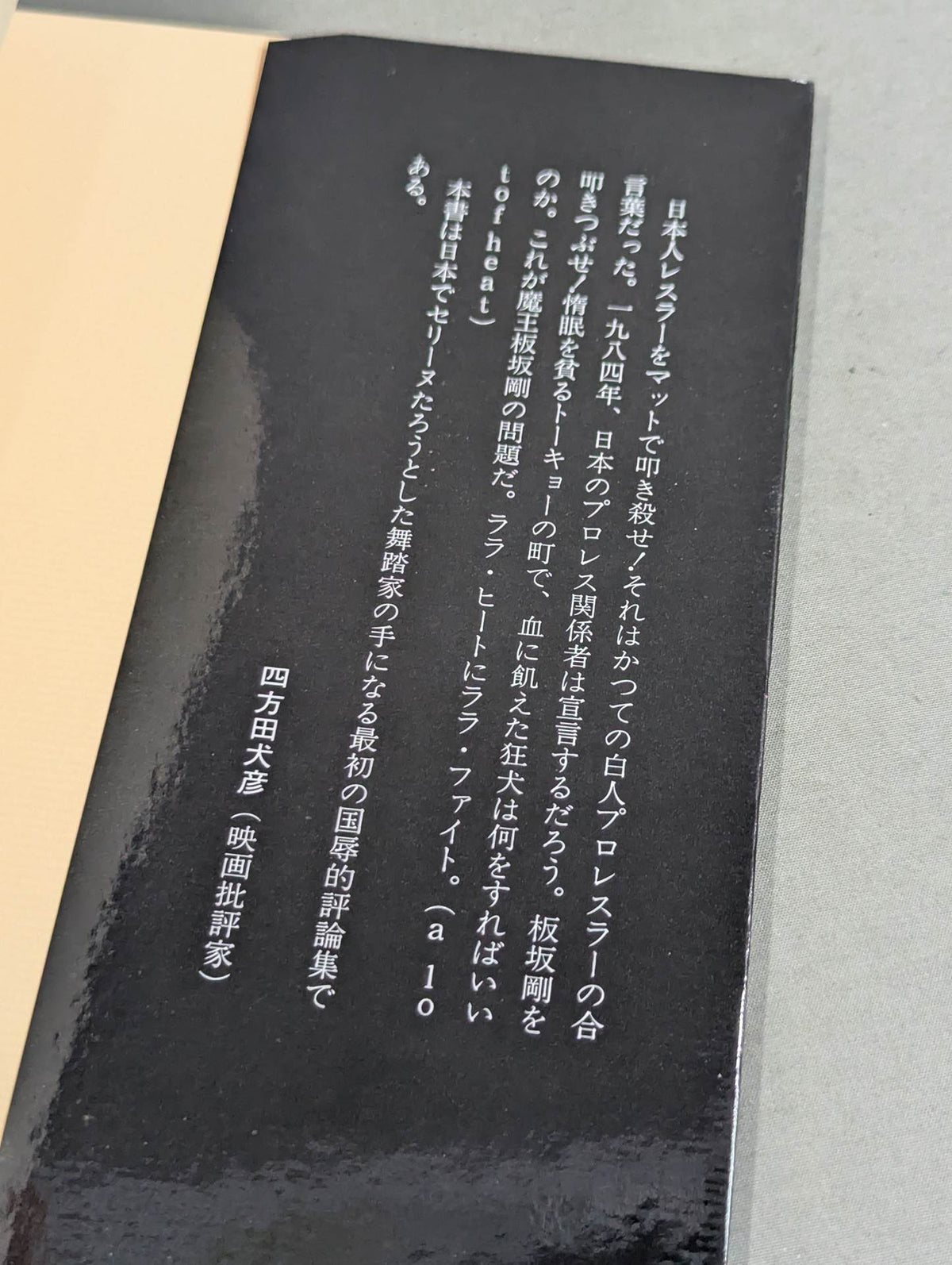 Turn-of-the-century Cultural Studies: A Perverted Essay on Antonio Inoki 