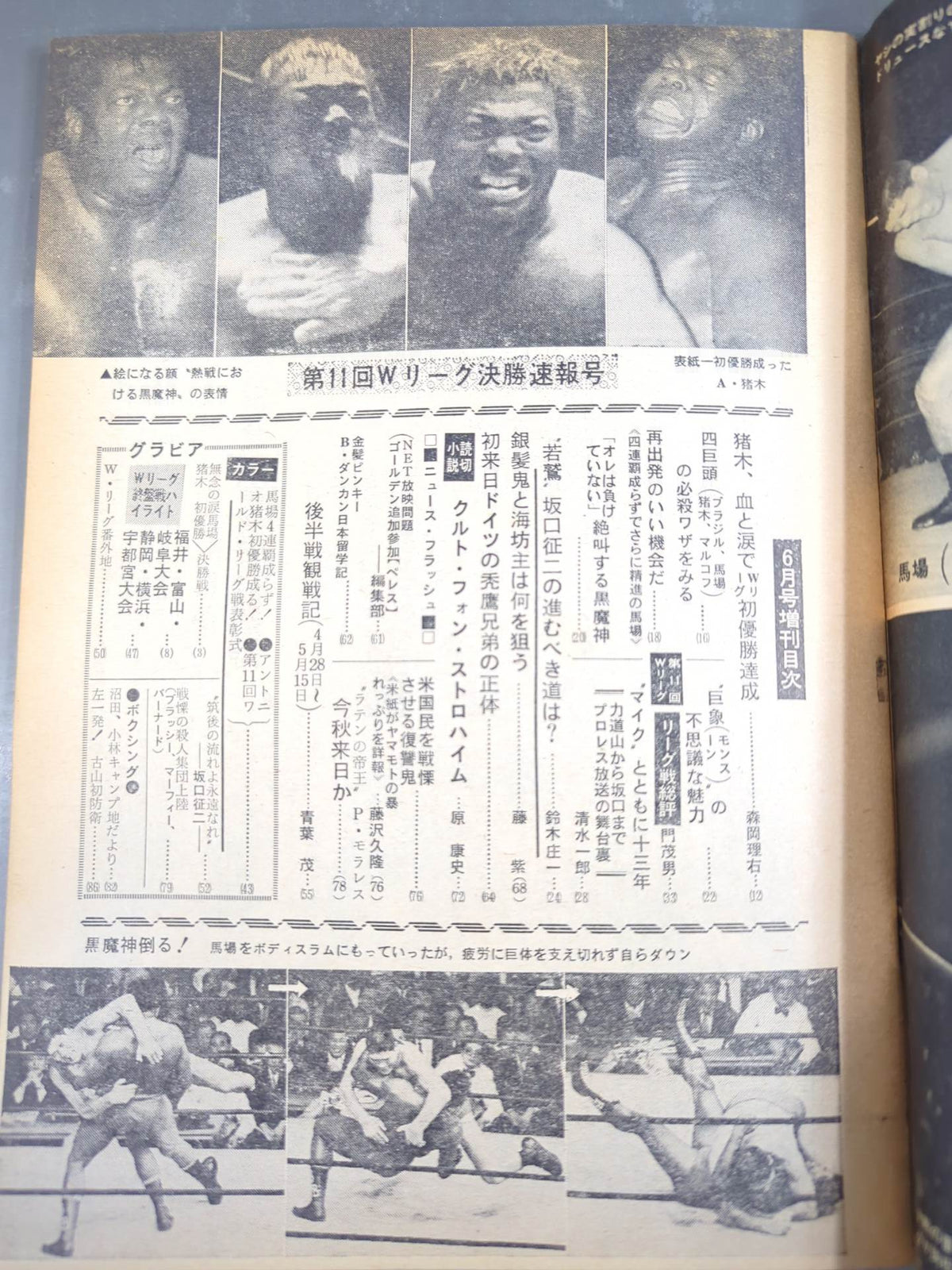 Pro Wrestling  & Boxing June 1969 Issue Supplement