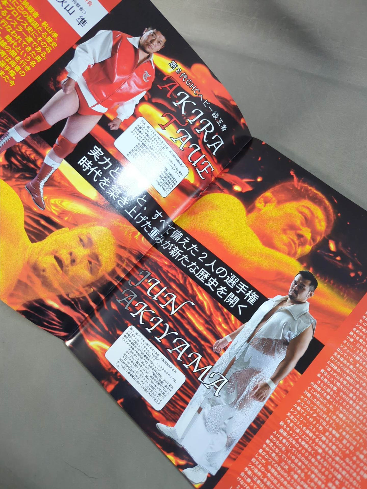 2006The First Navigation / 日本武道館大会
