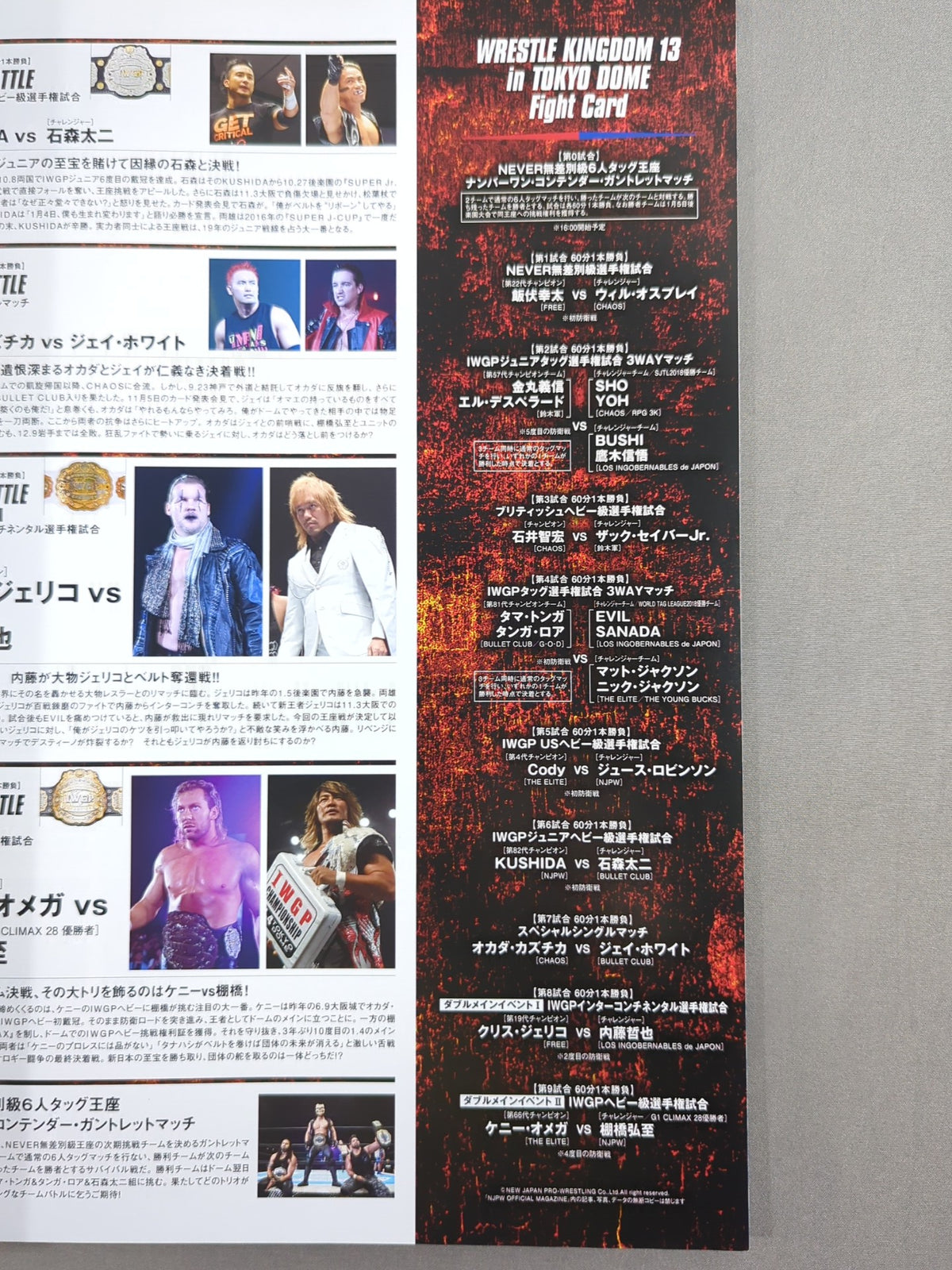 レッスルキングダム13 / WRESTLE KINGDOM 13