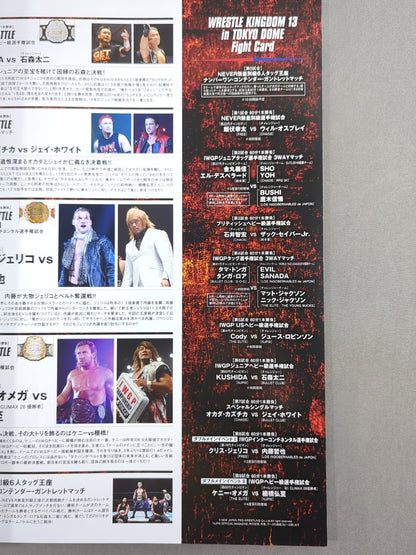 レッスルキングダム13 / WRESTLE KINGDOM 13