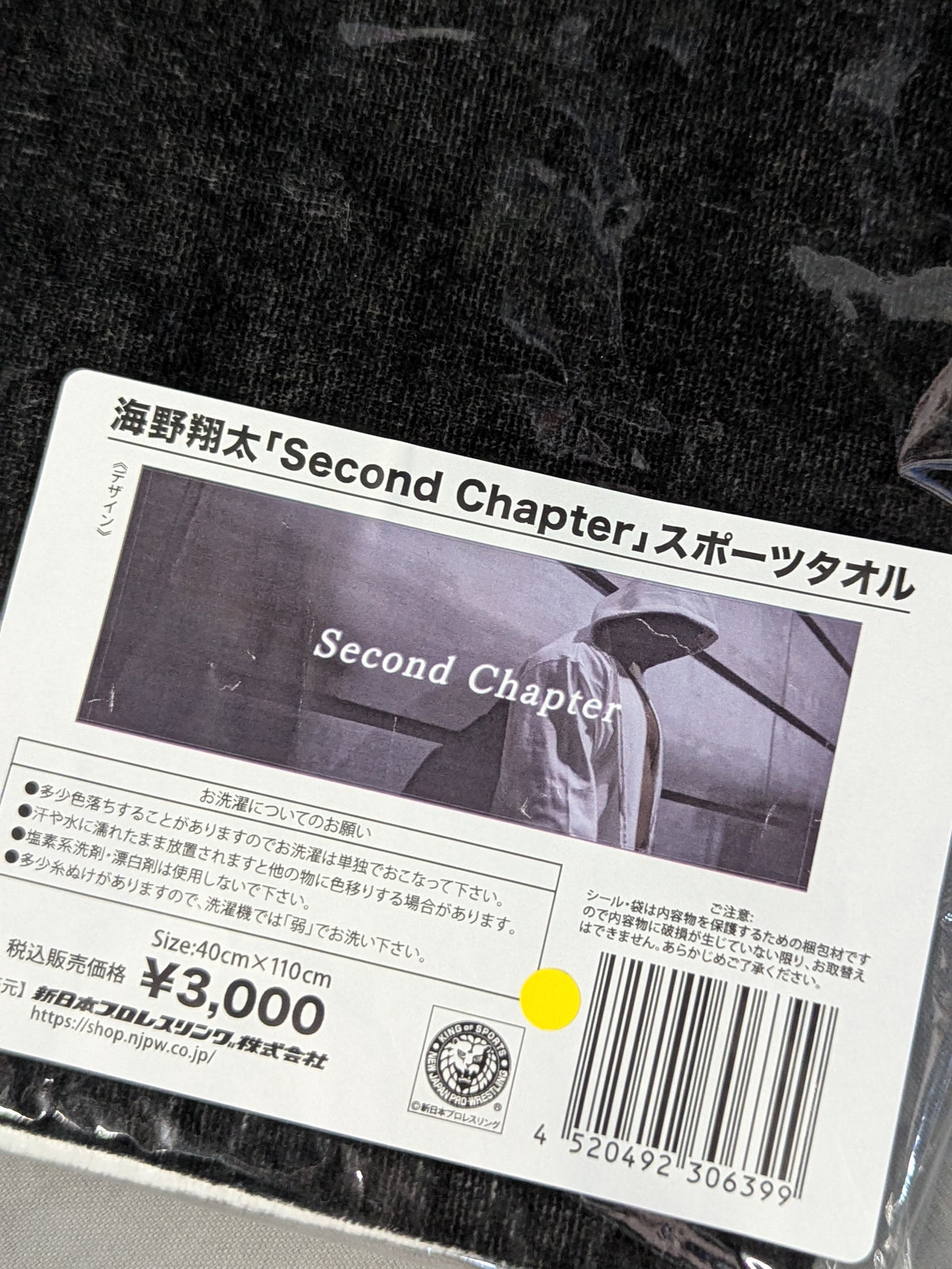 海野翔太「Second Chapter」スポーツタオル
