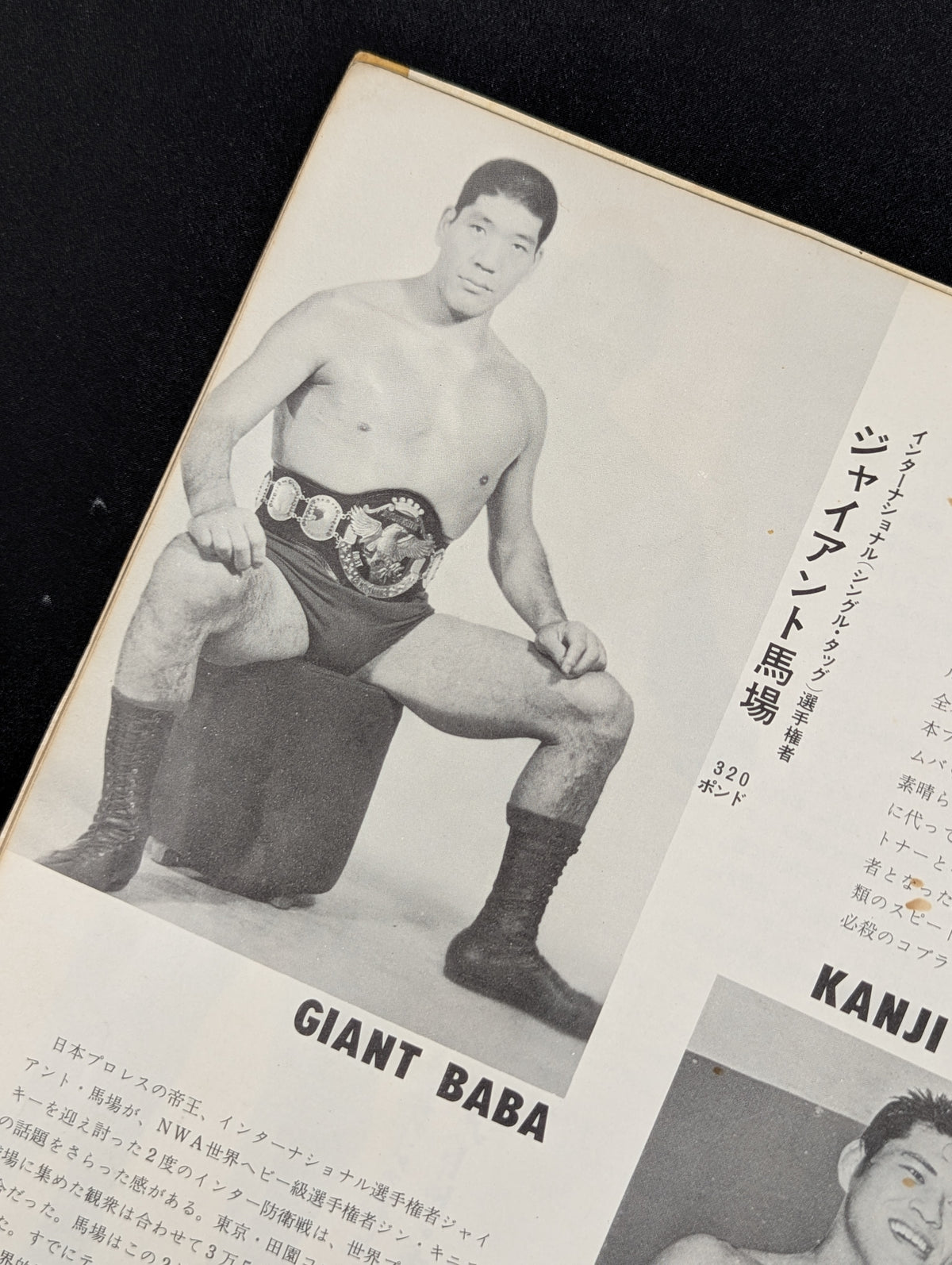 ★BI Cannon & All Wrestlers in Japan 7 fighters ★ 67 Diamond Series Participation fighters sign Shikishi ( Autograph board ) Set