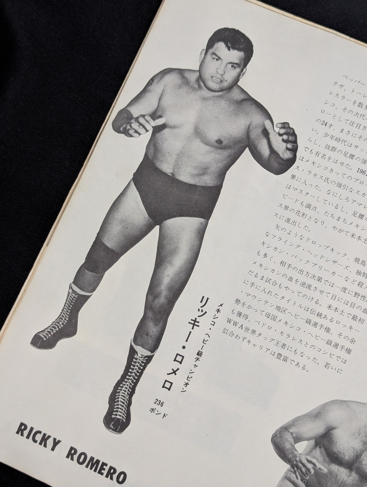 ★BI Cannon & All Wrestlers in Japan 7 fighters ★ 67 Diamond Series Participation fighters sign Shikishi ( Autograph board ) Set