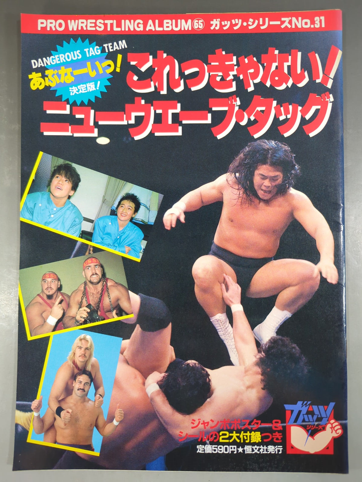 プロレスアルバム65 これっきゃない!ニューウェーブ・タッグ
