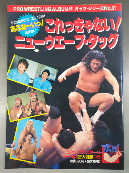 プロレスアルバム65 これっきゃない!ニューウェーブ・タッグ