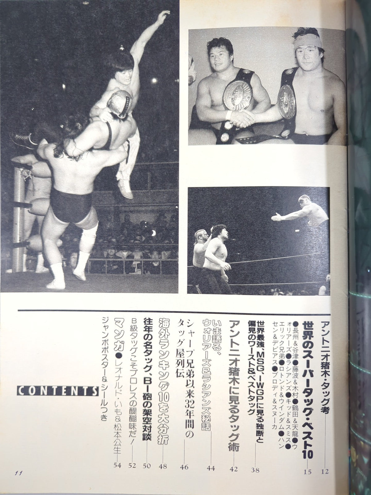 プロレスアルバム65 これっきゃない!ニューウェーブ・タッグ