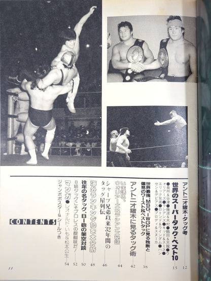 プロレスアルバム65 これっきゃない!ニューウェーブ・タッグ