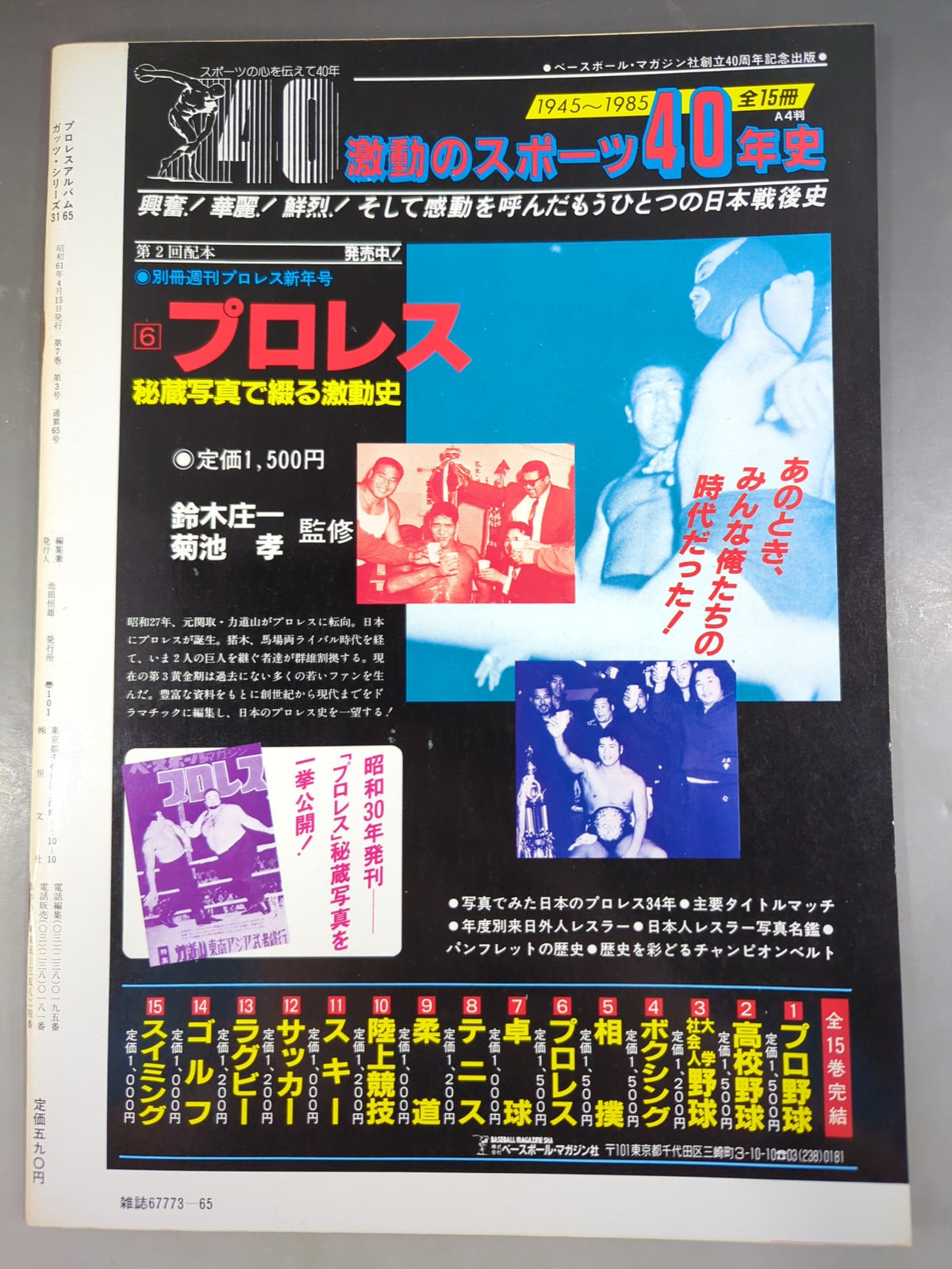 プロレスアルバム65 これっきゃない!ニューウェーブ・タッグ