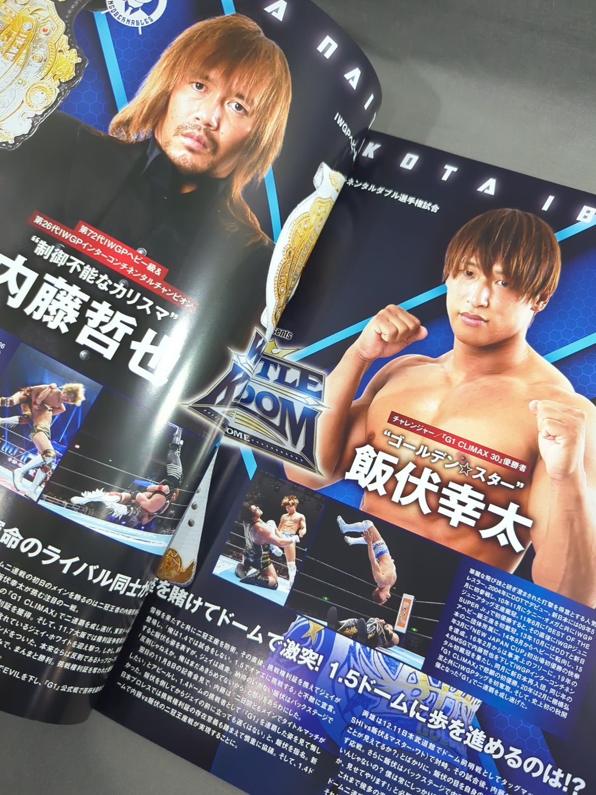 レッスルキングダム15 / WRESTLE KINGDOM 15