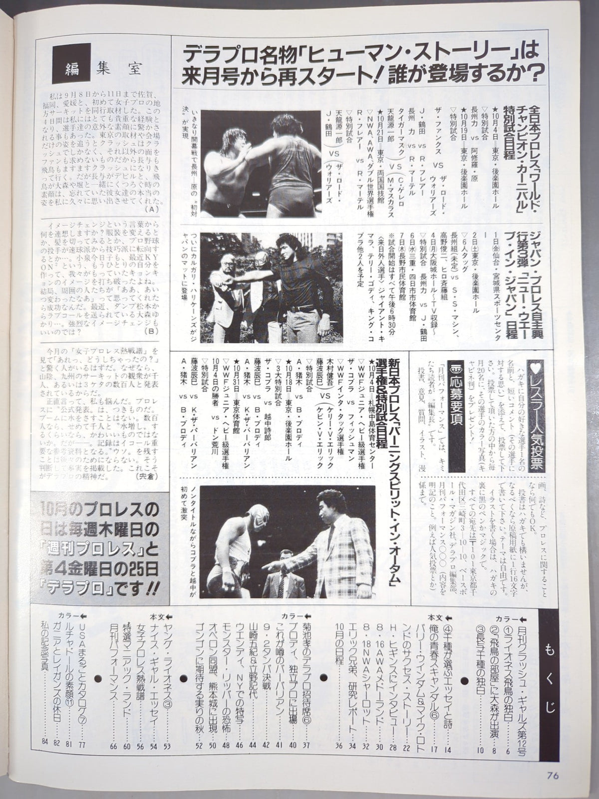 デラックスプロレス 1985年11月号