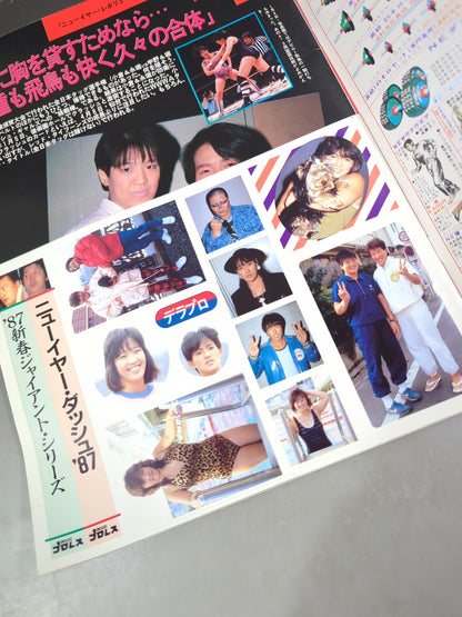 デラックスプロレス 1987年2月号