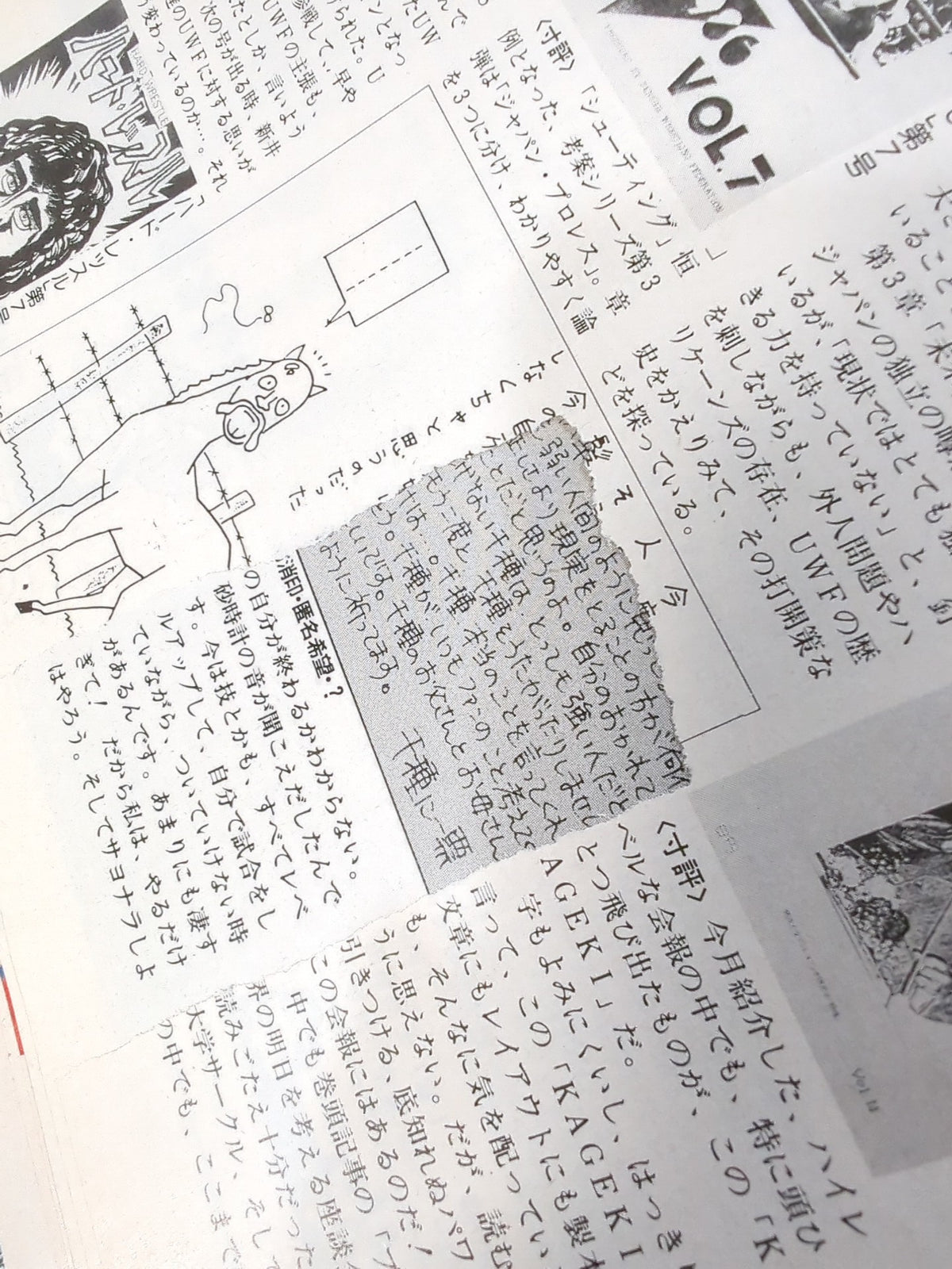 デラックスプロレス 1987年2月号