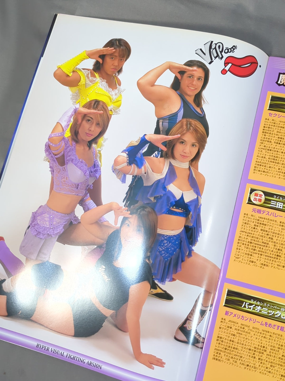 ARSION  / STARGOLD 2000 Official Guidebook Vol.17