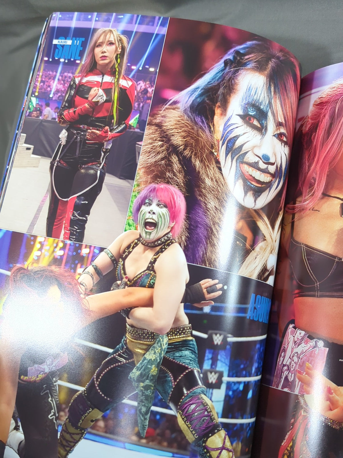 WWE OFFICIAL PROGRAM 2024