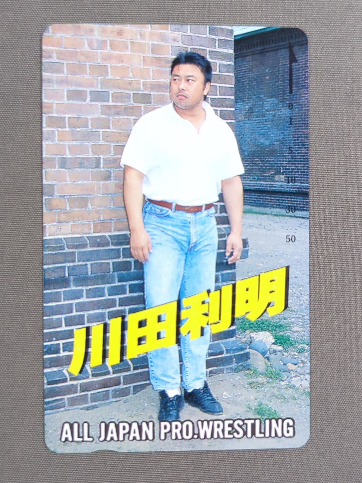 Toshiaki Kawada (9)