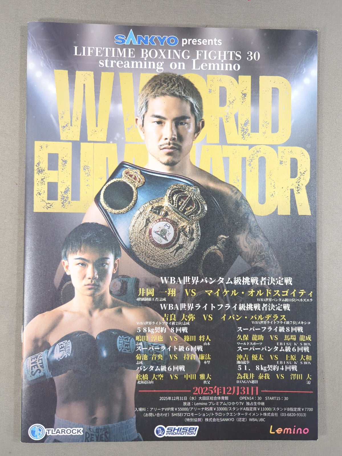 LIFETIME BOXING FIGHTS 30