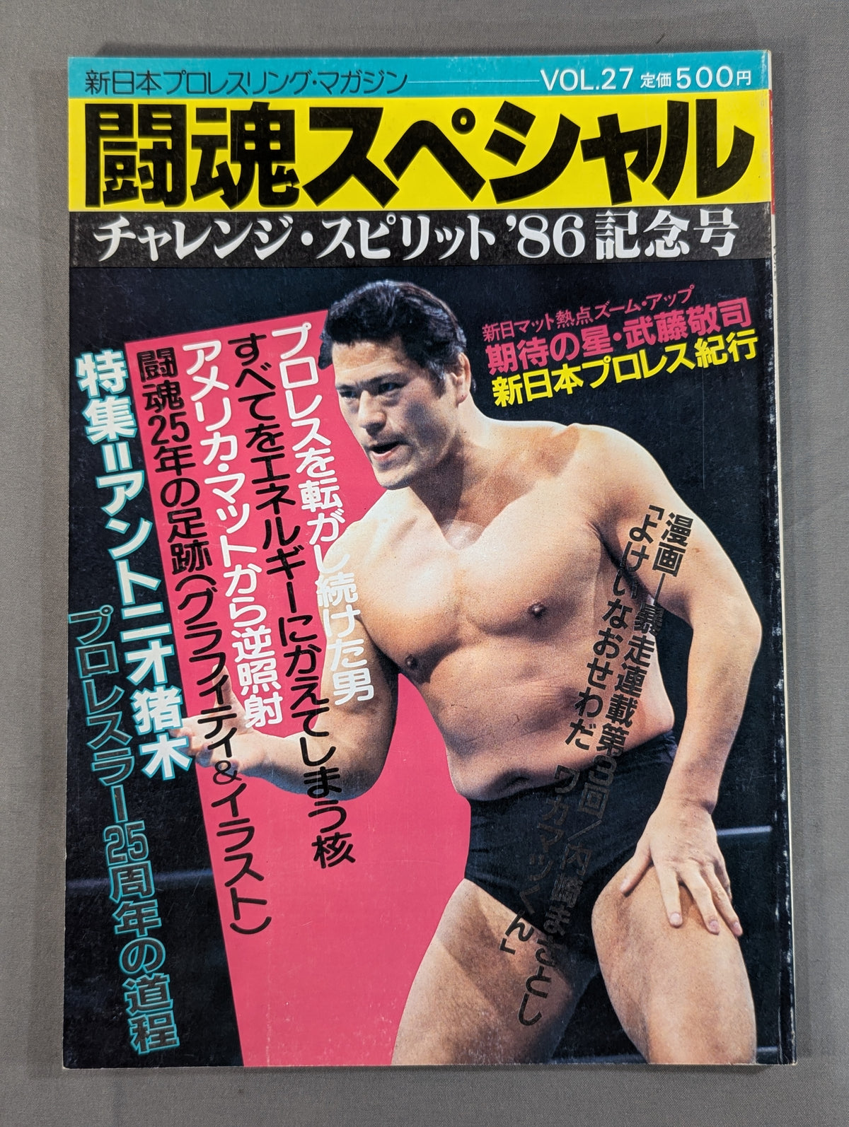 Fighting Spirit Special 27