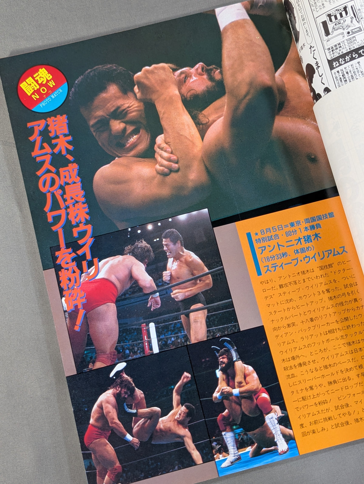 Fighting Spirit Special 27