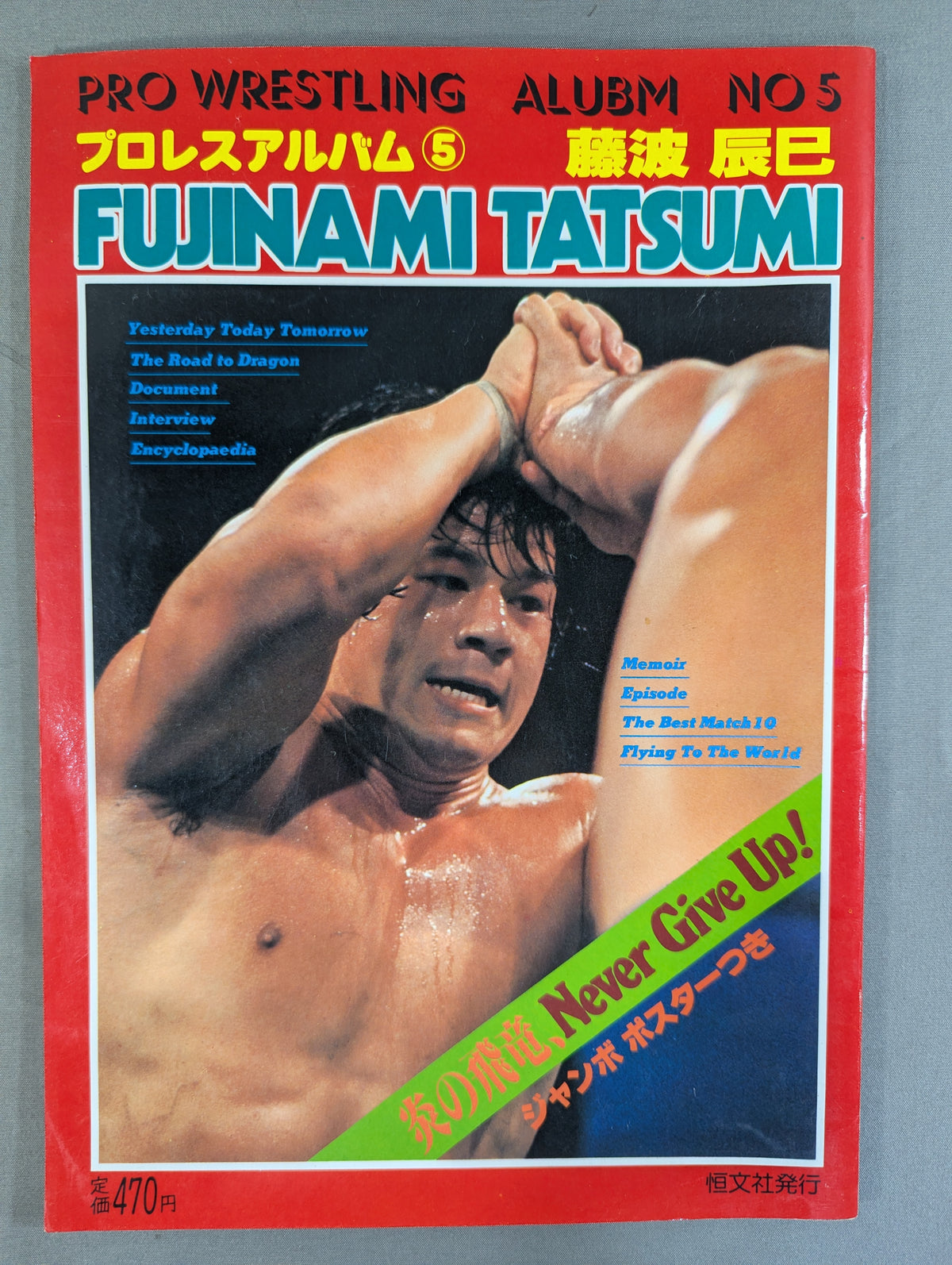 Pro Wrestling  Album 5 Tatsumi Fujinami