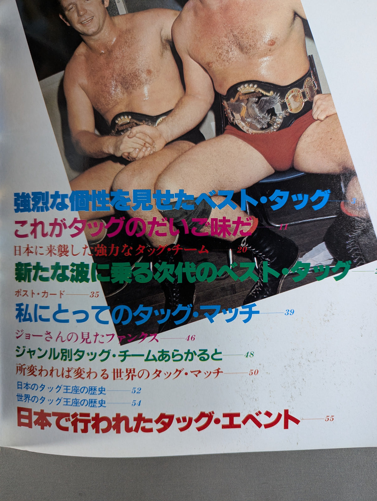 プロレスアルバム22 世界のベストタッグ