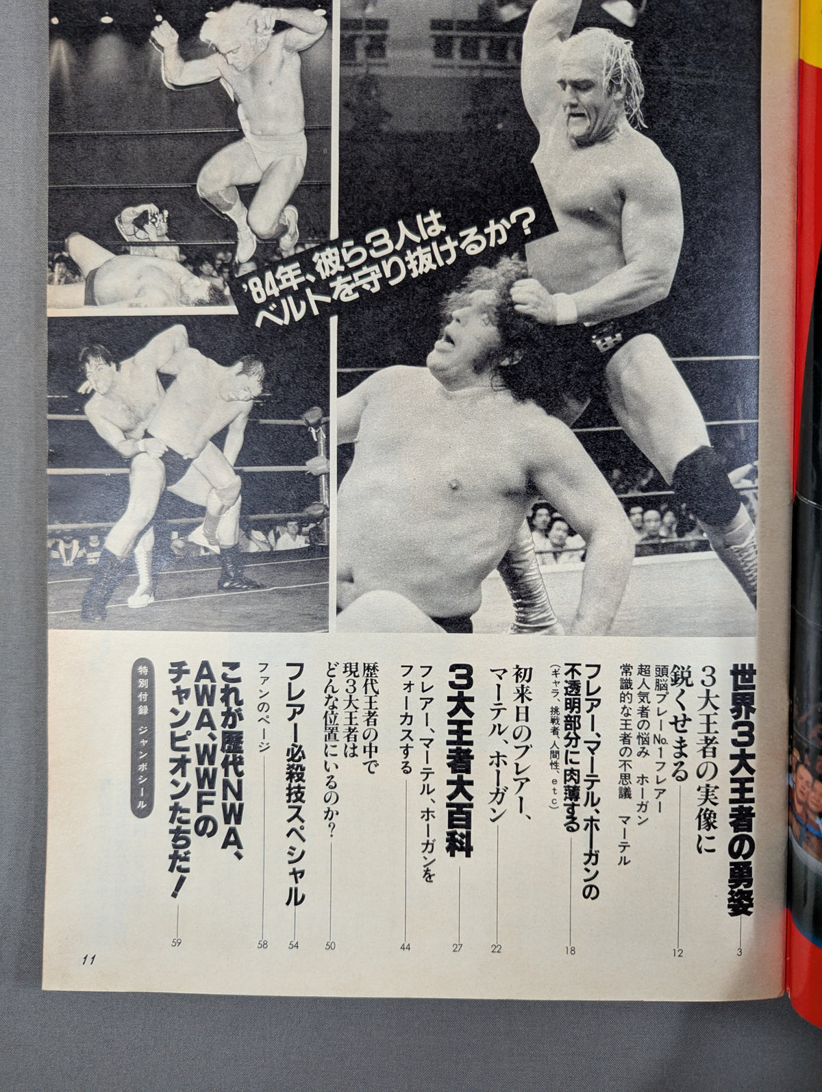 Pro Wrestling  Album 47 Champions