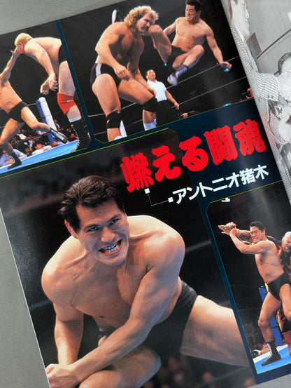 Special Fight in Kokugikan