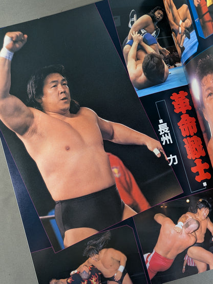 Special Fight in Kokugikan