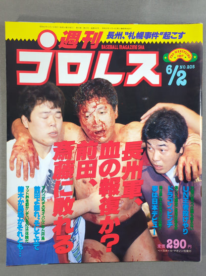 Weekly Pro Wrestling  205
