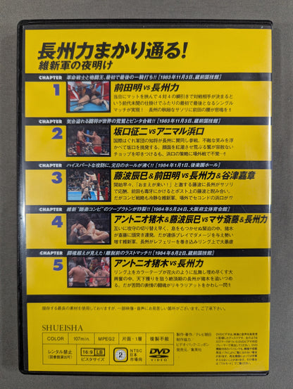 燃えろ!新日本プロレス vol.13