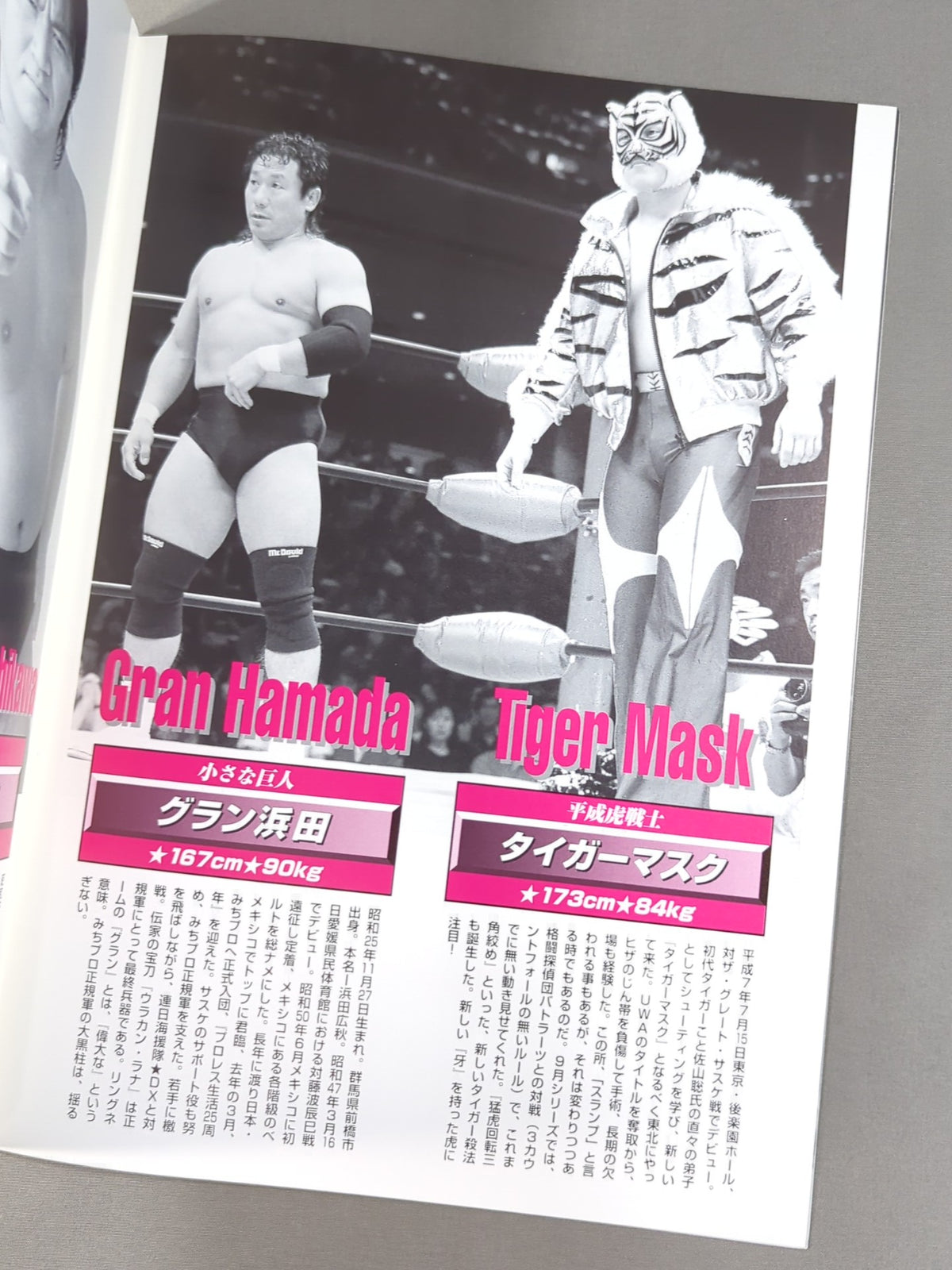 みちのくプロレス オフィシャルパンフレット Vol.35