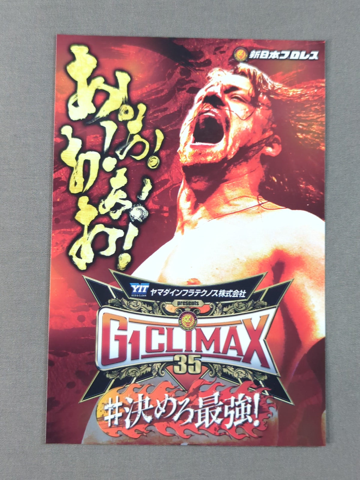 David Finlay "G1 CLIMAX 35"fighters photo Original sticker included