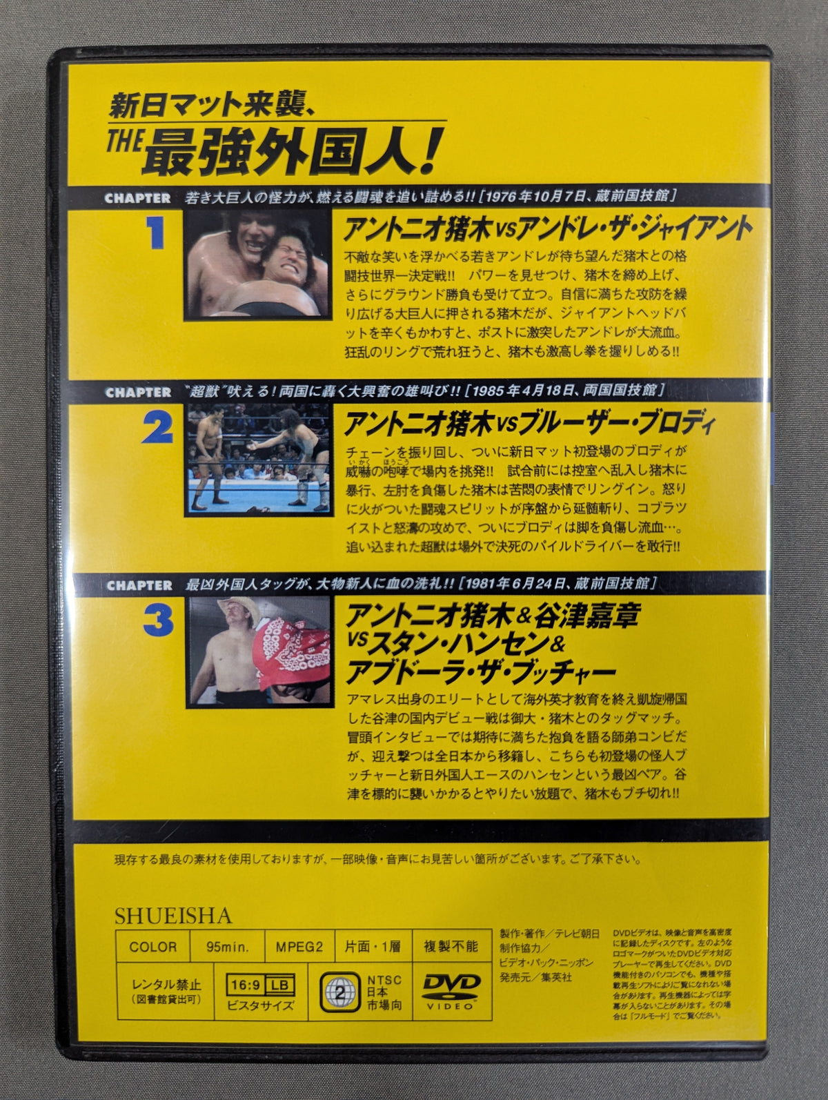 Burn! New Japan Pro Wrestling  vol.6