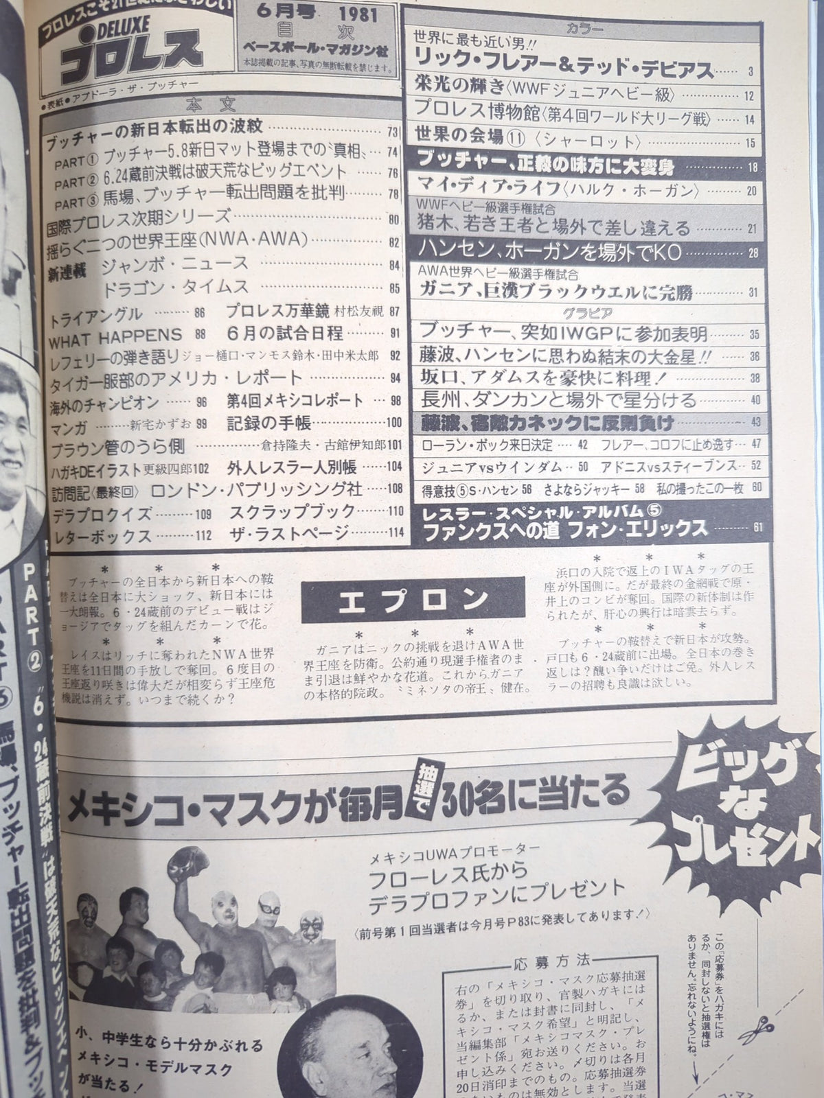 Deluxe Pro Wrestling July 1981