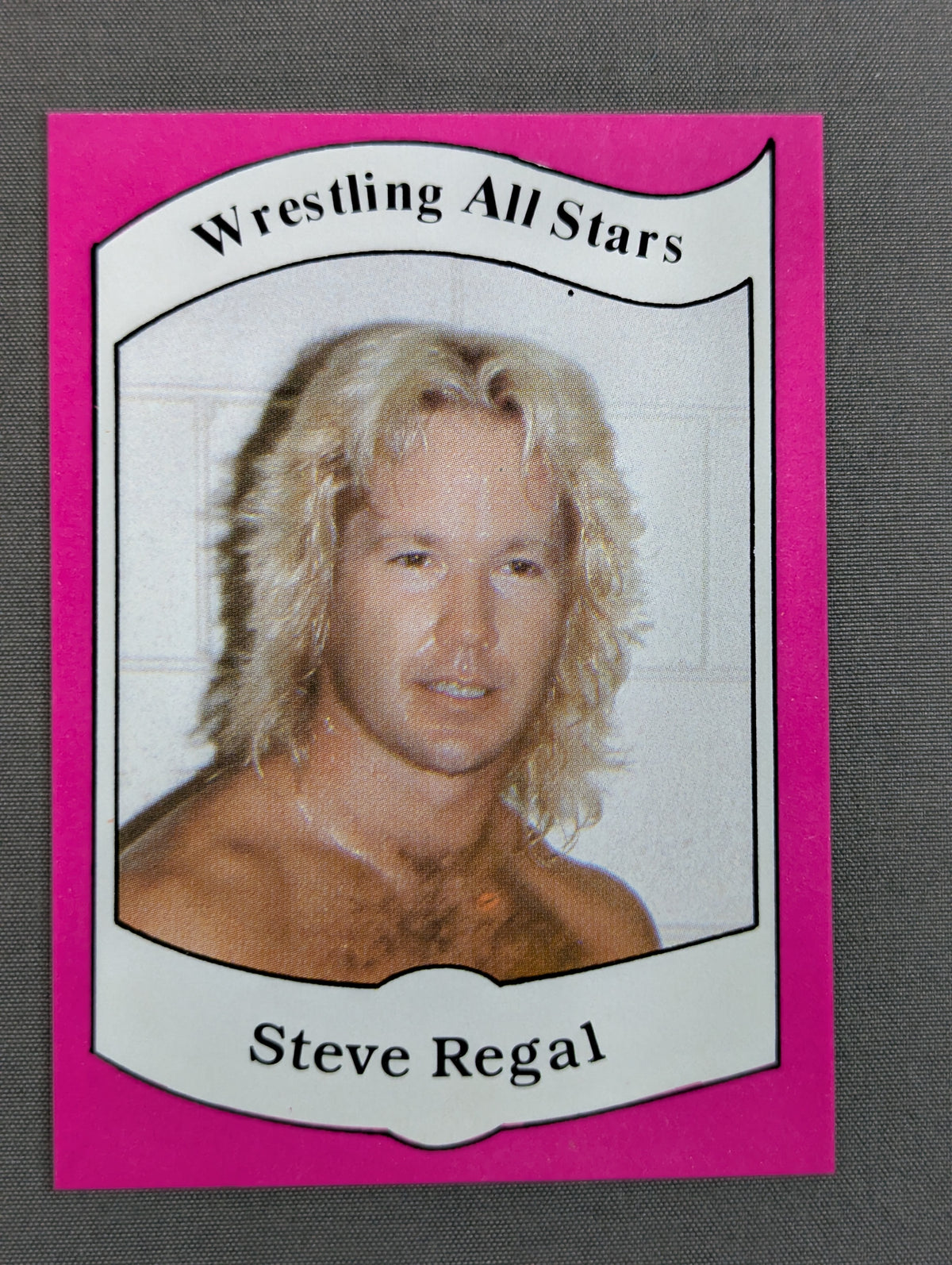 ★1983 WRESTLING ALL STARS Series A★ スティーブ・リーガル