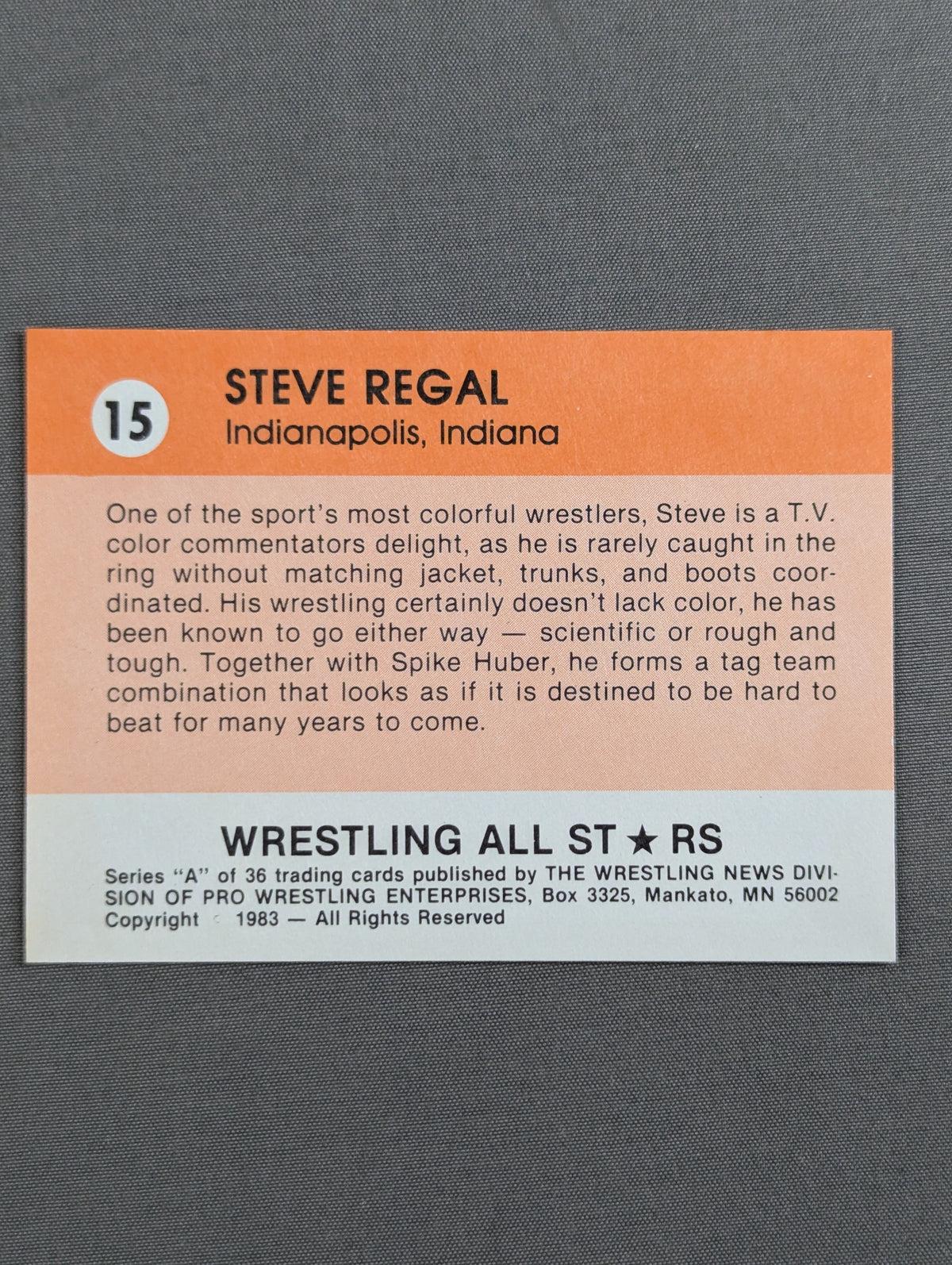 ★1983 WRESTLING ALL STARS Series A★ スティーブ・リーガル