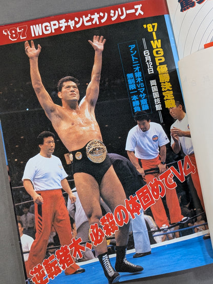 Fighting Spirit Special 34