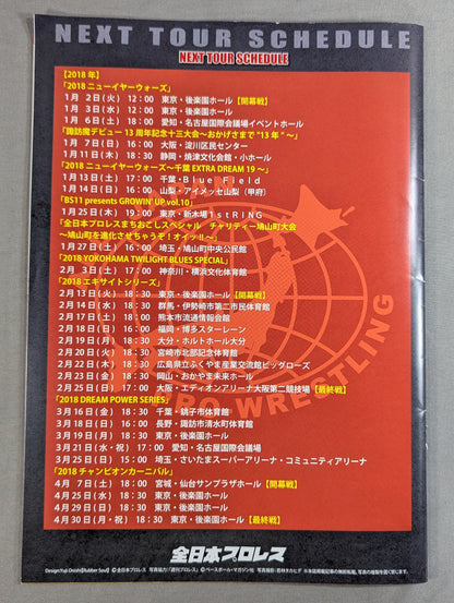 【岩本煌史 直筆サイン入り】2017世界最強タッグ決定リーグ戦～旗揚げ45周年記念シリーズ～
