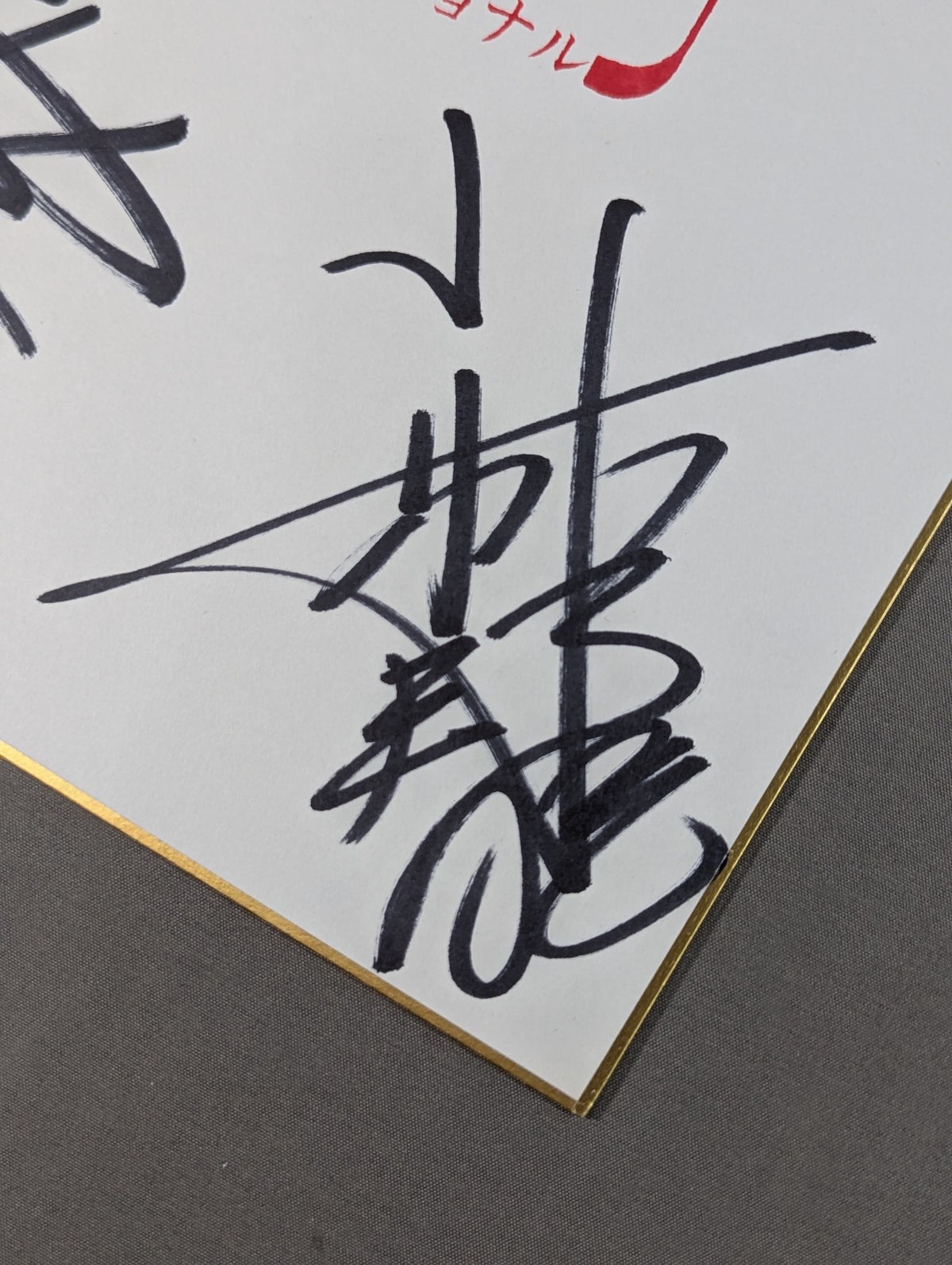 Japan Pro Wrestling 4 fighters Group Message