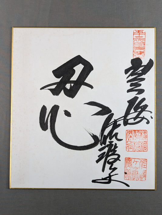 ★ ★ Shinobu Sadodake (former Kotozakura)