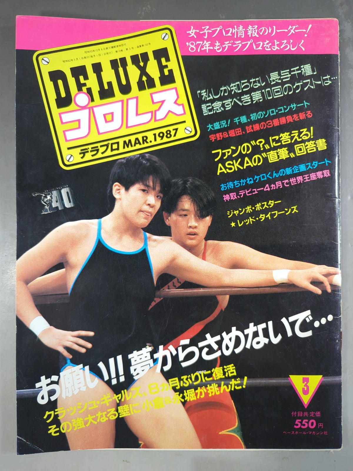 Deluxe Pro Wrestling March 1987 issue