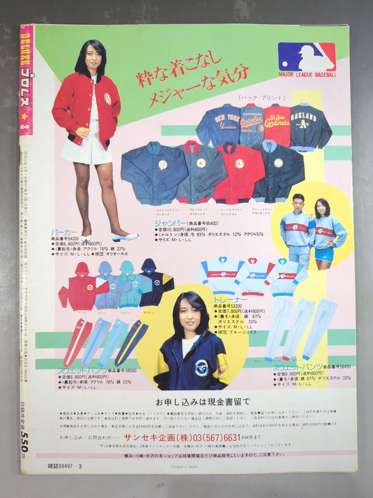 Deluxe Pro Wrestling March 1987 issue