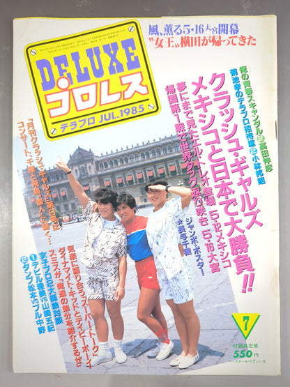 Deluxe Pro Wrestling  July 1985