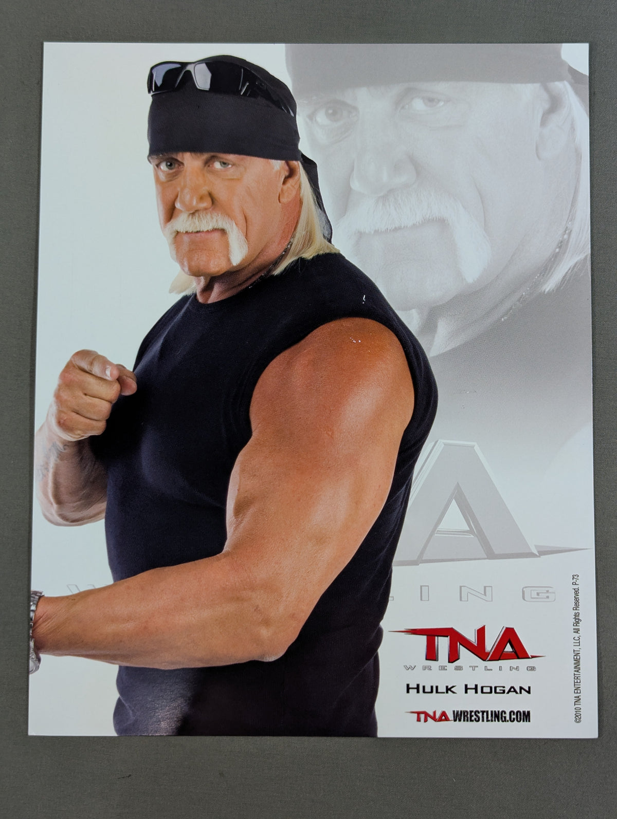TNA Hulk Hogan  Pro-Photo 