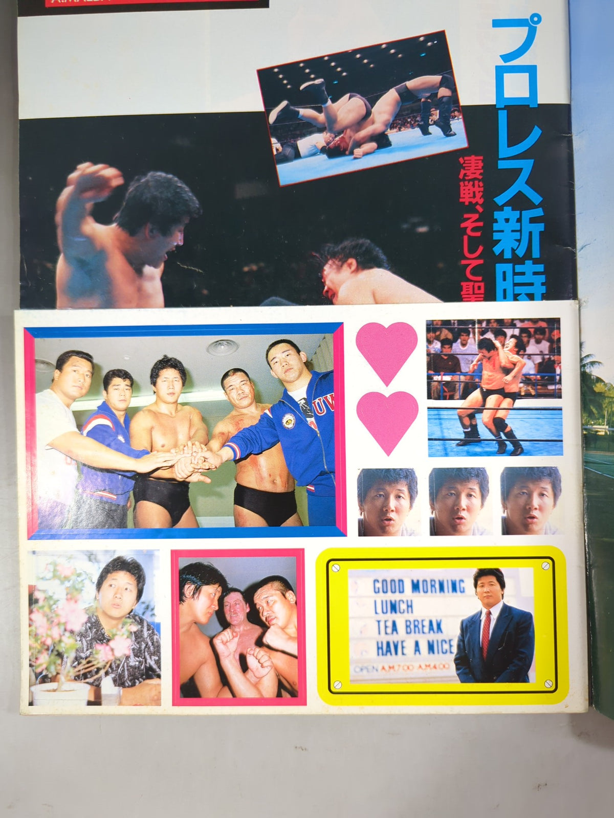プロレスアルバム69 前田日明 新格闘王伝説
